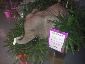 Fibreglass elephant statue
